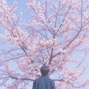 张柏芝强奸第二集
